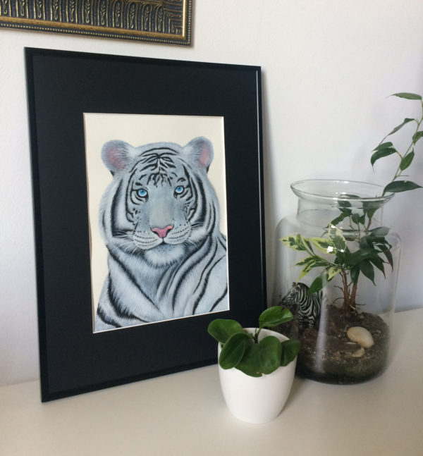 illustration aquarelle tigre blanc