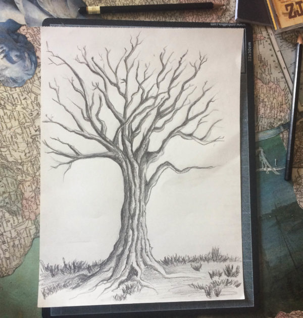 arbre niveaux de gris branches