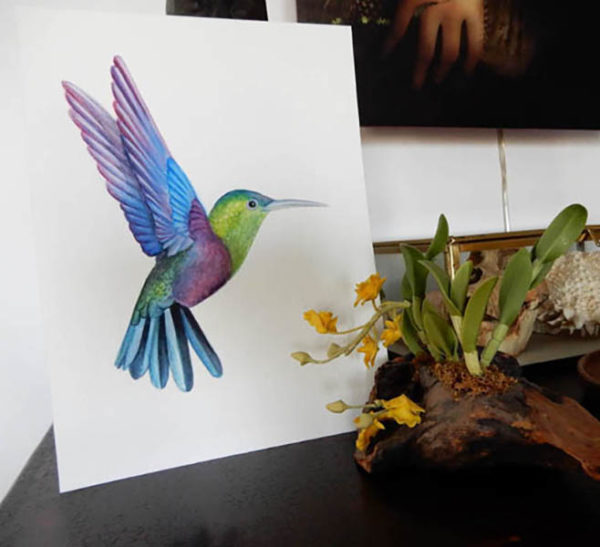 petit colibri en vol dessin