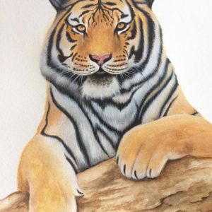 tigre de face a l'aquarelle
