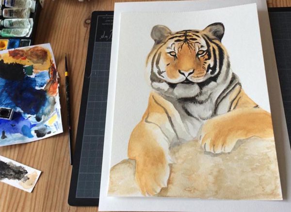 tigre aquarelle les etapes