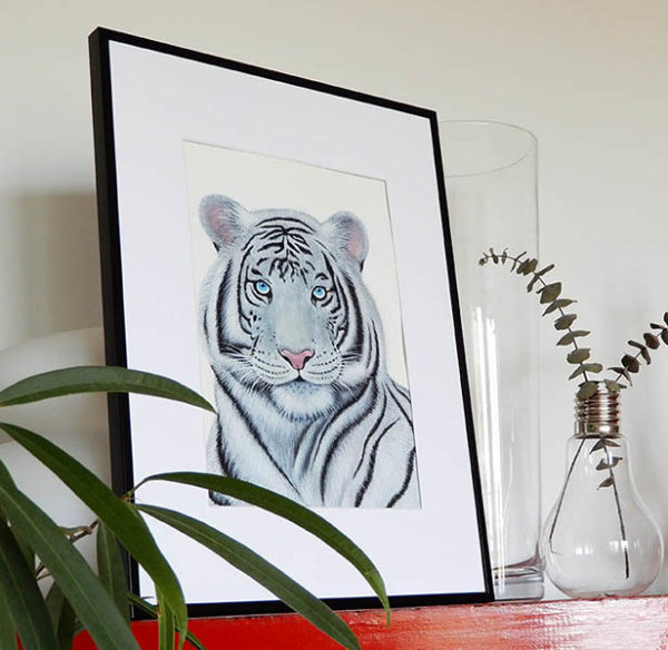 Tigre blanc peinture aquarelle