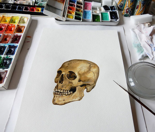 Crâne vanité aquarelle