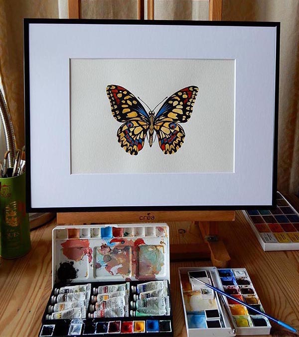 papillon peint à l'aquarelle
