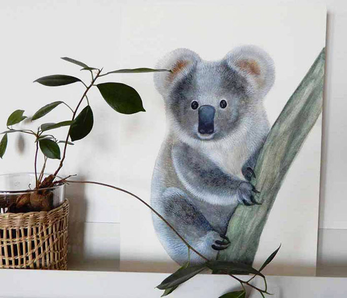 aquarelle koala sur une branche