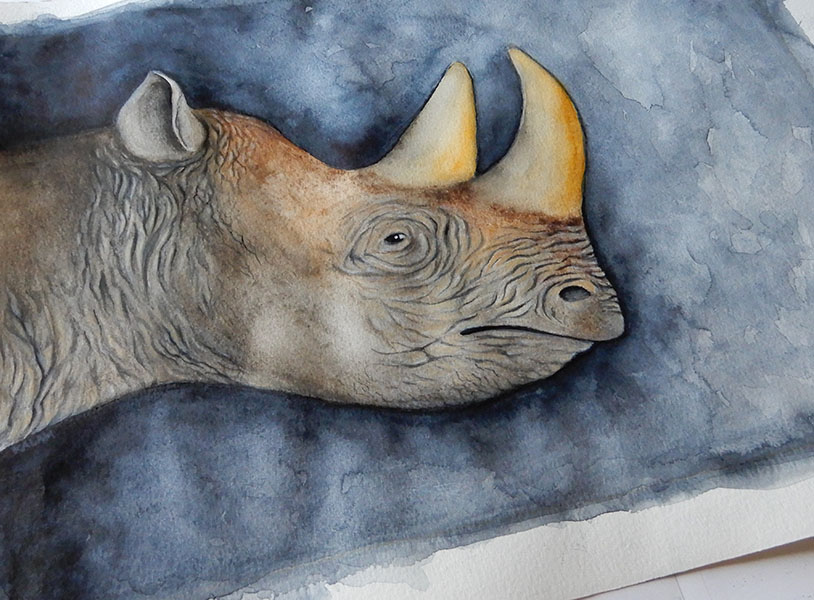 aquarelle tête de rhinocéros