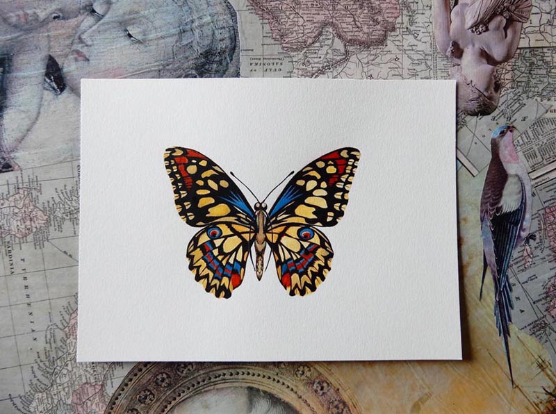 peinture karine Lamouroux papillon