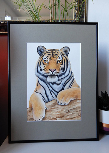 aquarelle tigre karine Lamouroux