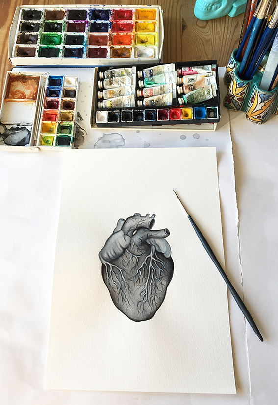 illustration cœur réaliste anatomie